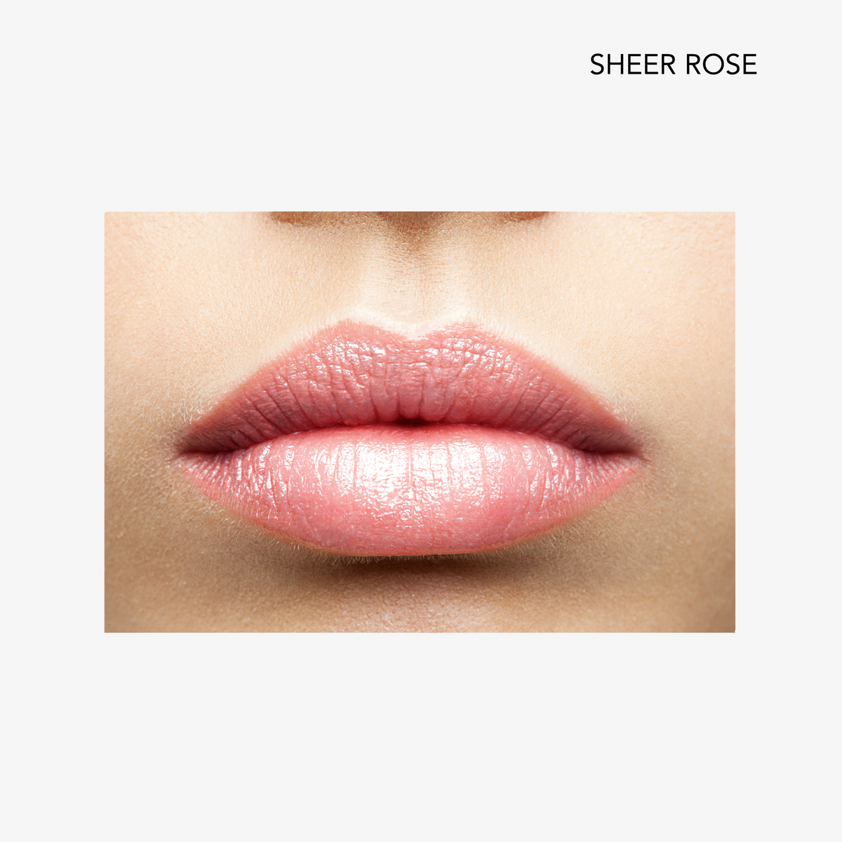 Lip Gloss